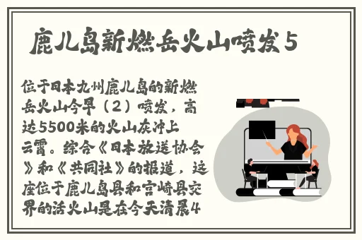 久久碰人人玩国产精品