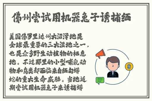 紫黑色蘑菇头律动紧致H